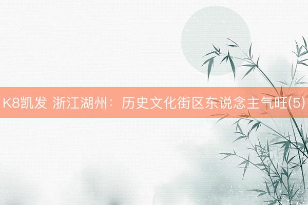 K8凯发 浙江湖州：历史文化街区东说念主气旺(5)