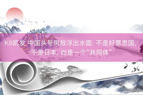 K8凯发 中国头号夙敌浮出水面: 不是好意思国， 不是日本， 而是一个“共同体”