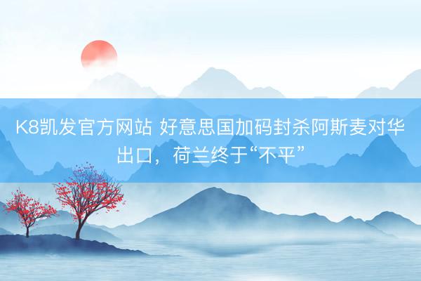 K8凯发官方网站 好意思国加码封杀阿斯麦对华出口，荷兰终于“不平”