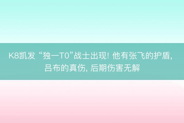 K8凯发 “独一T0”战士出现! 他有张飞的护盾， 吕布的真伤， 后期伤害无解
