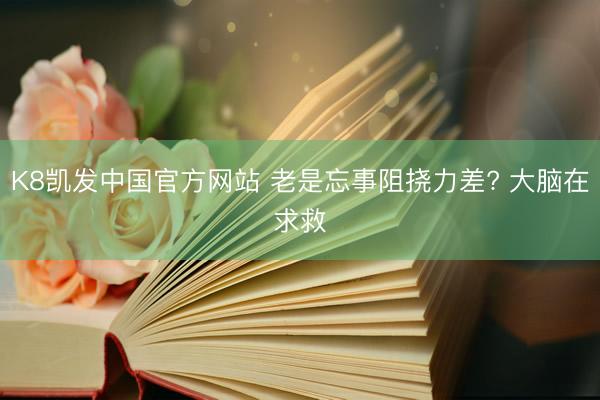 K8凯发中国官方网站 老是忘事阻挠力差? 大脑在求救⚡