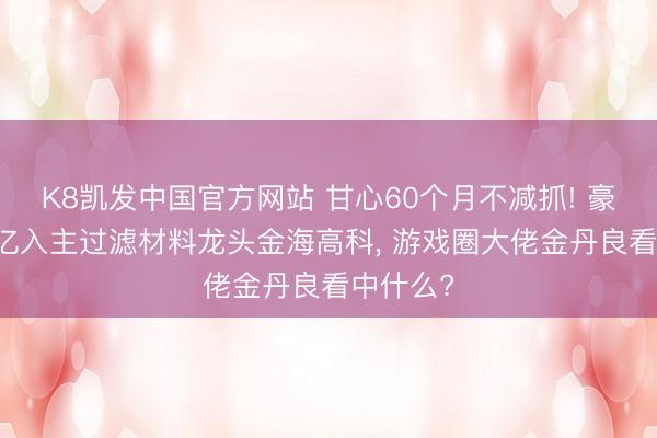 K8凯发中国官方网站 甘心60个月不减抓! 豪掷超14亿入主过滤材料龙头金海高科， 游戏圈大佬金丹良看中什么?