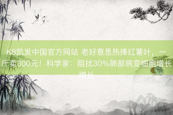 K8凯发中国官方网站 老好意思热捧红薯叶，一斤卖300元！科学家：阻扰30%肺部病变细胞增长
