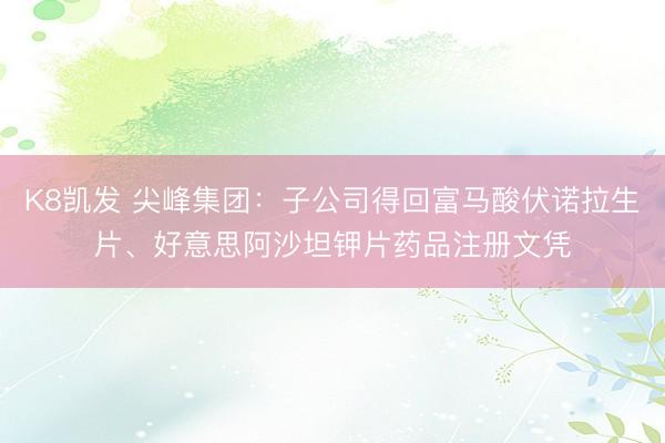 K8凯发 尖峰集团：子公司得回富马酸伏诺拉生片、好意思阿沙坦钾片药品注册文凭