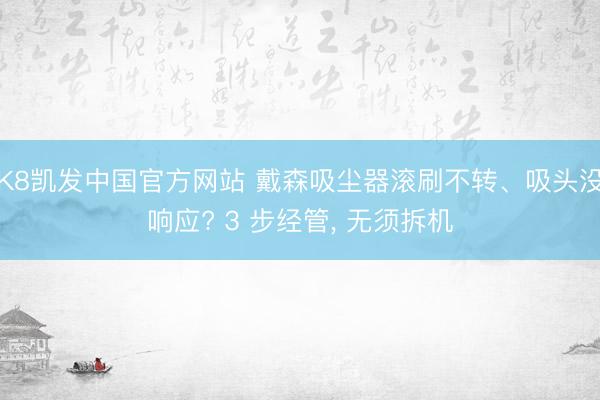 K8凯发中国官方网站 戴森吸尘器滚刷不转、吸头没响应? 3 步经管， 无须拆机