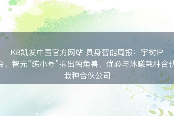 K8凯发中国官方网站 具身智能周报：宇树IPO上会、智元“练小号”拆出独角兽、优必与沐曦栽种合伙公司