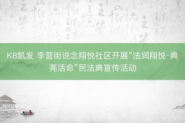 K8凯发 李营街说念翔悦社区开展“法润翔悦·典亮活命”民法典宣传活动