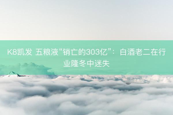 K8凯发 五粮液“销亡的303亿”:白酒老二在行业隆冬中迷失
