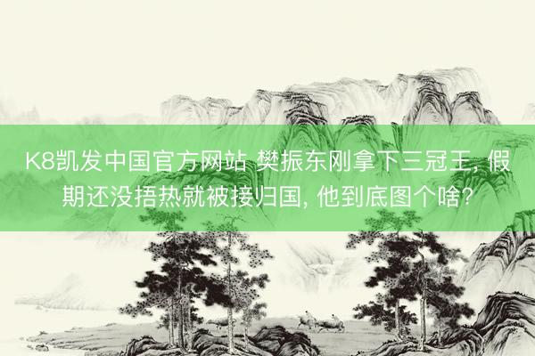K8凯发中国官方网站 樊振东刚拿下三冠王, 假期还没捂热就被接归国, 他到底图个啥?