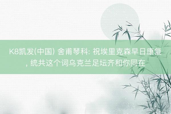 K8凯发(中国) 舍甫琴科: 祝埃里克森早日康复, 统共这个词乌克兰足坛齐和你同在