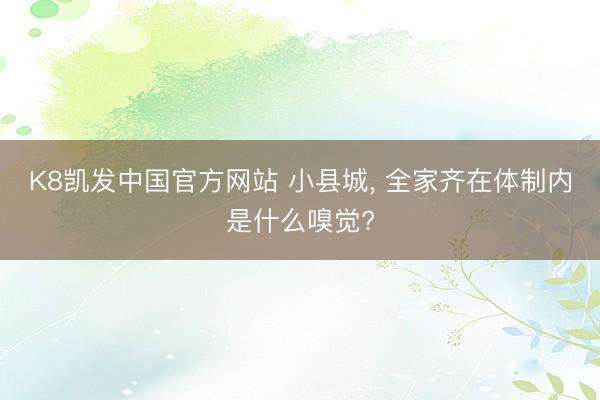 K8凯发中国官方网站 小县城， 全家齐在体制内是什么嗅觉?
