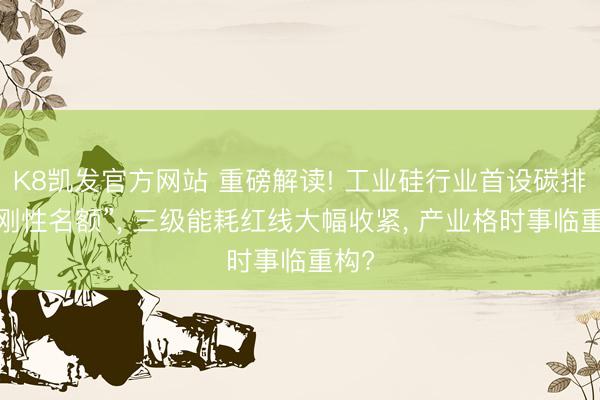 K8凯发官方网站 重磅解读! 工业硅行业首设碳排放“刚性名额”， 三级能耗红线大幅收紧， 产业格时事临重构?