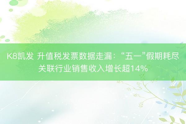 K8凯发 升值税发票数据走漏:“五一”假期耗尽关联行业销售收入增长超14%