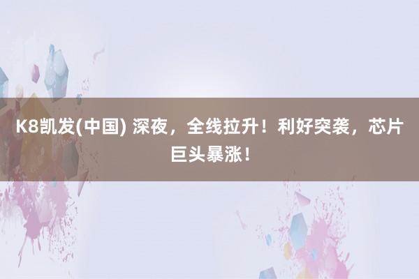 K8凯发(中国) 深夜,全线拉升!利好突袭,芯片巨头暴涨!
